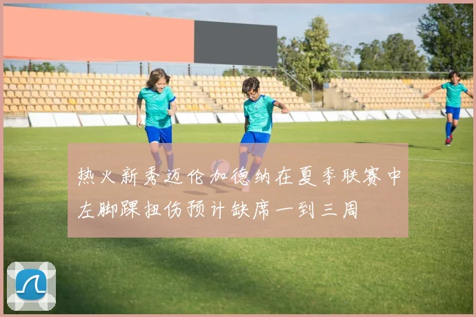 热火新秀迈伦加德纳在夏季联赛中左脚踝扭伤预计缺席一到三周